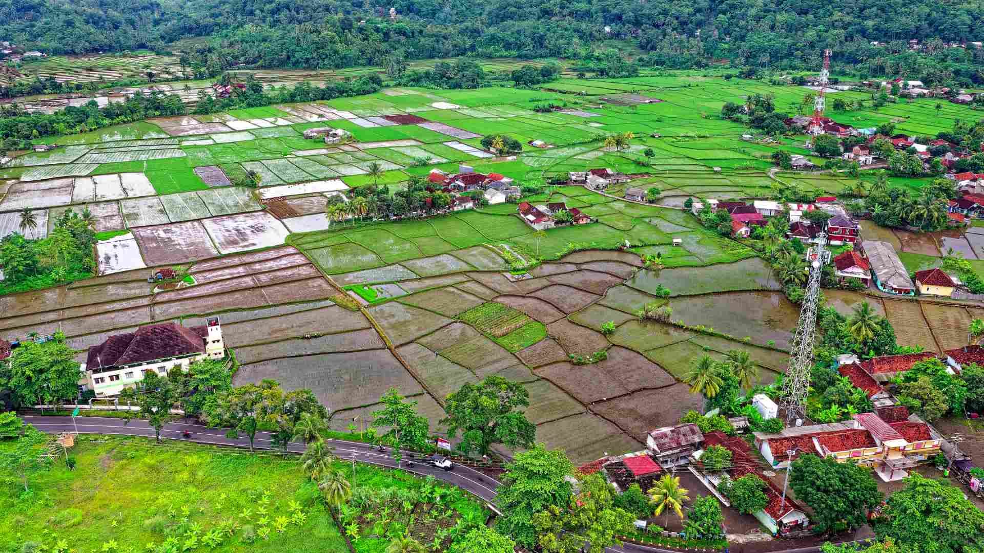 suka-bumi