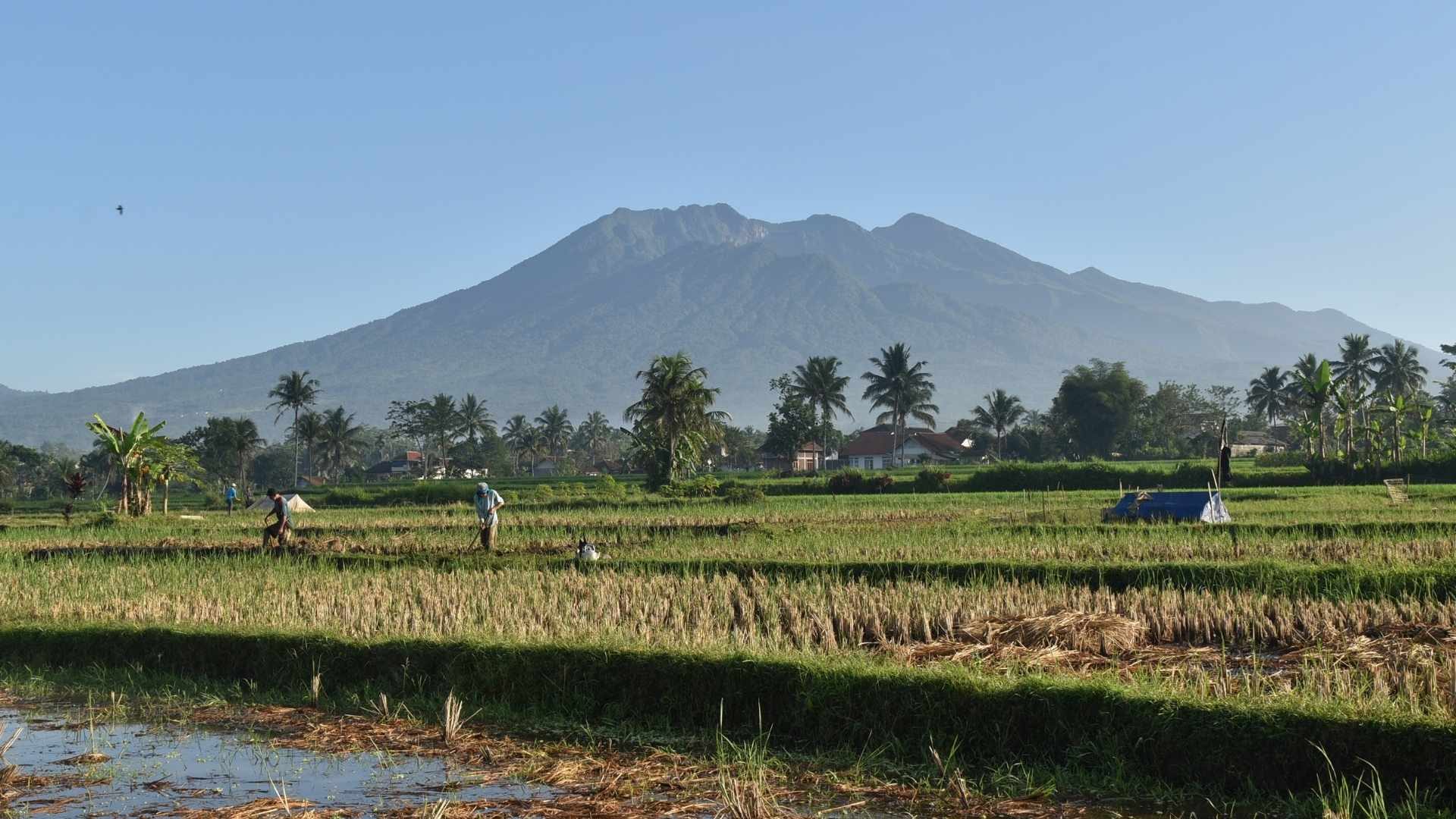 tasikmalaya